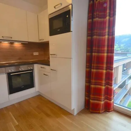 Luxury Penthouse With Lake, Mountain Views, Free Parking,wi-fi And Roof Top Dining Patio Apartment